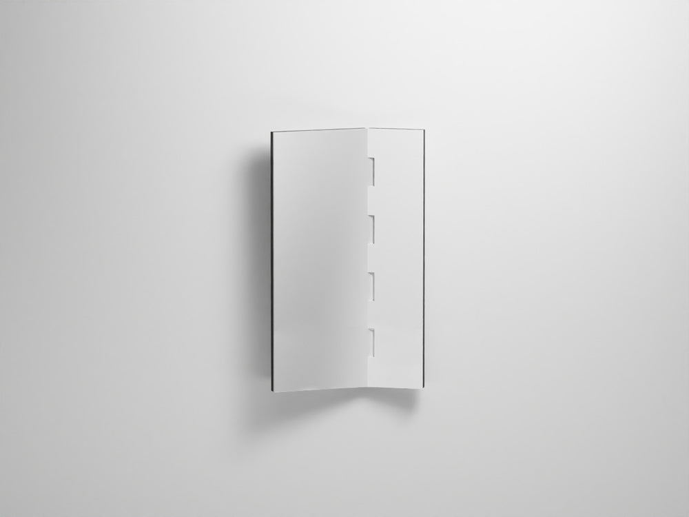 
                  
                    ZIP MIRROR - art. SPZIPGSX/SPZIPGDX
                  
                